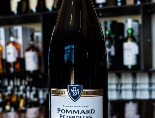 In viaggio con Wine LiVin -FRANCIA BORGOGNA